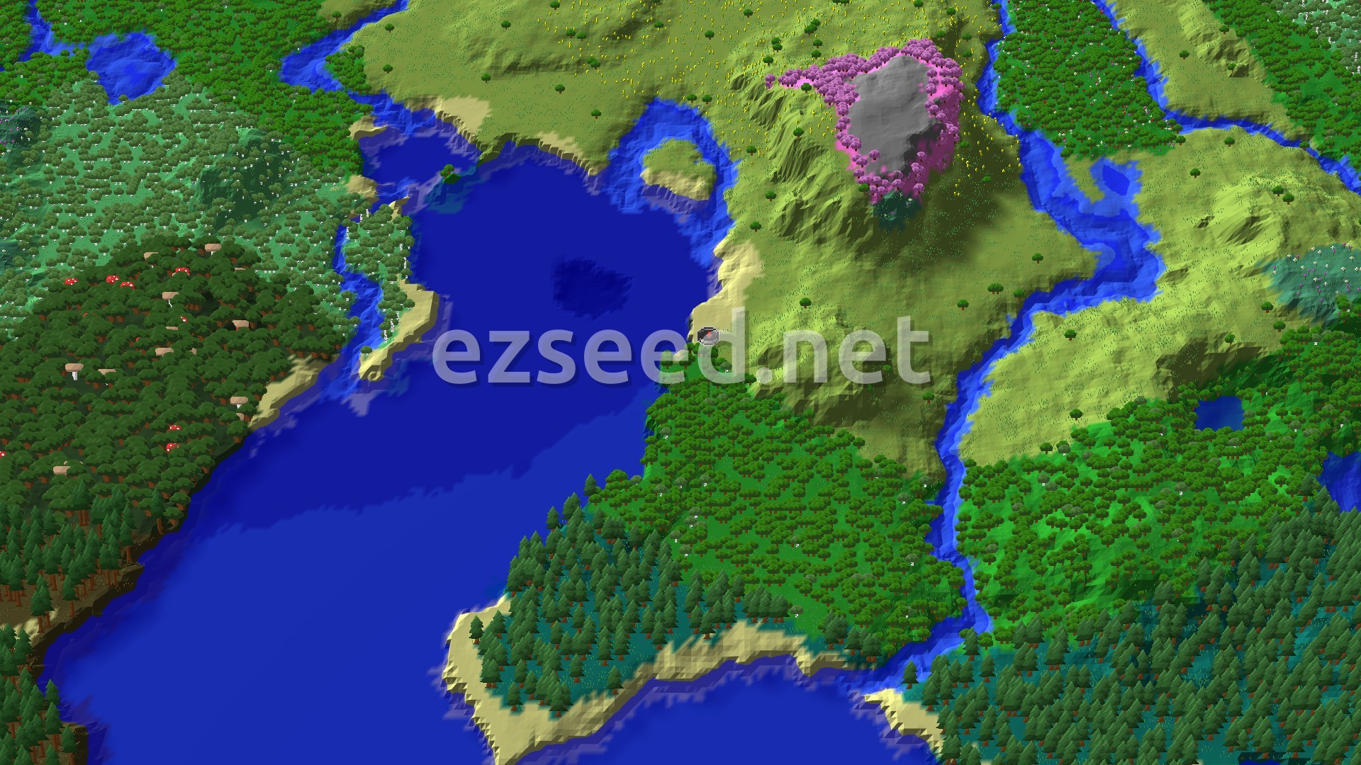 Aerial Minecraft seed map — Cherry Grove Near Spawn on a Forested Coast