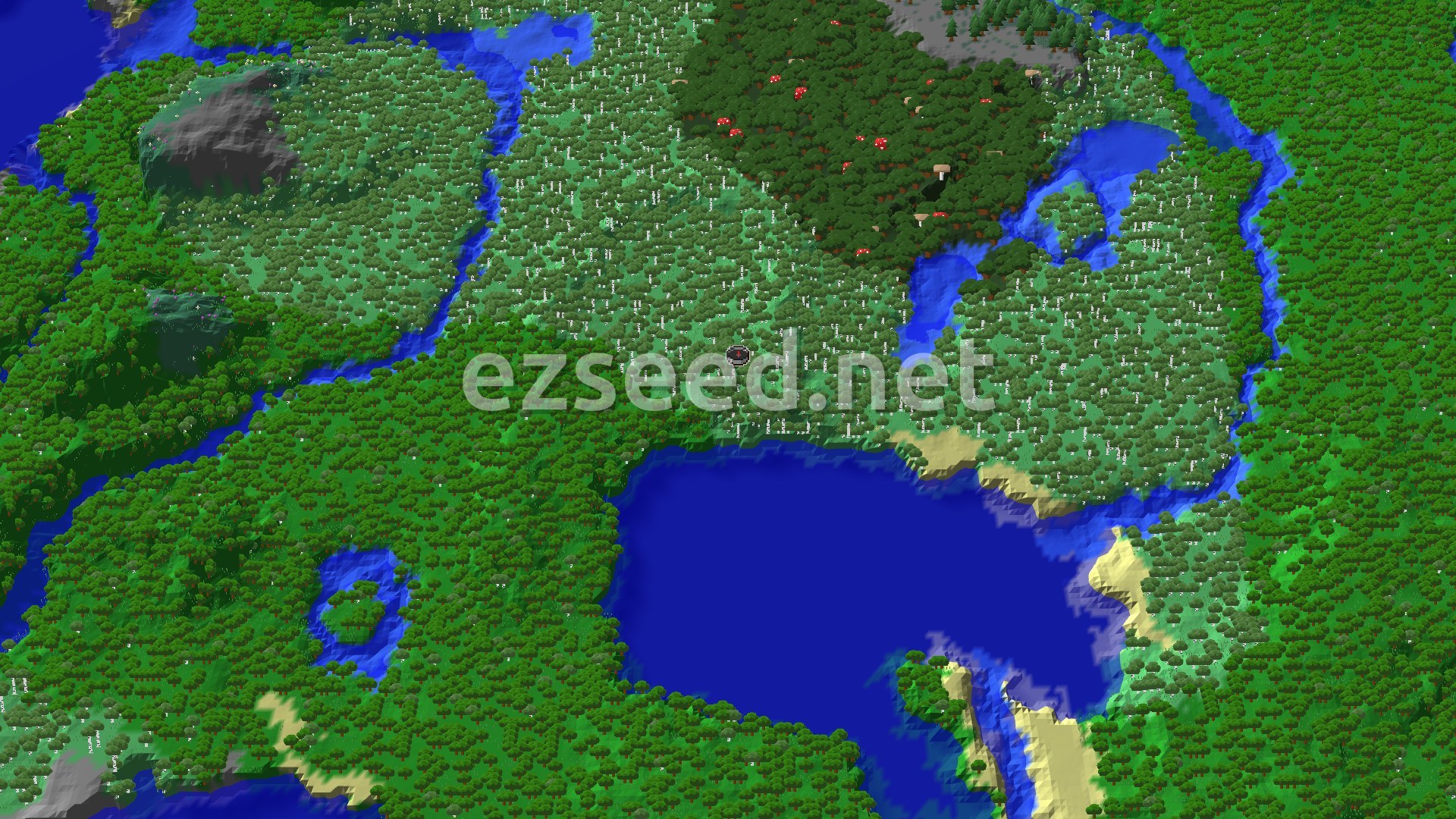 Aerial Minecraft seed map — Old Growth Birch Forest with Abandoned Village