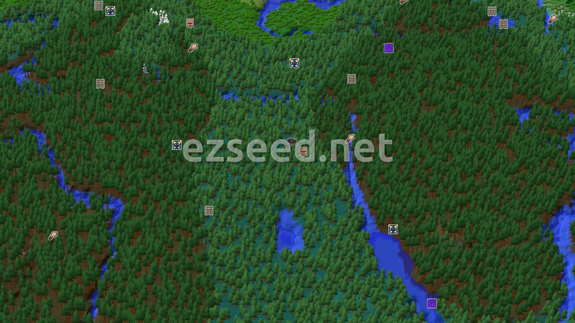Aerial Minecraft seed map — Village Next Door in a Taiga Forest