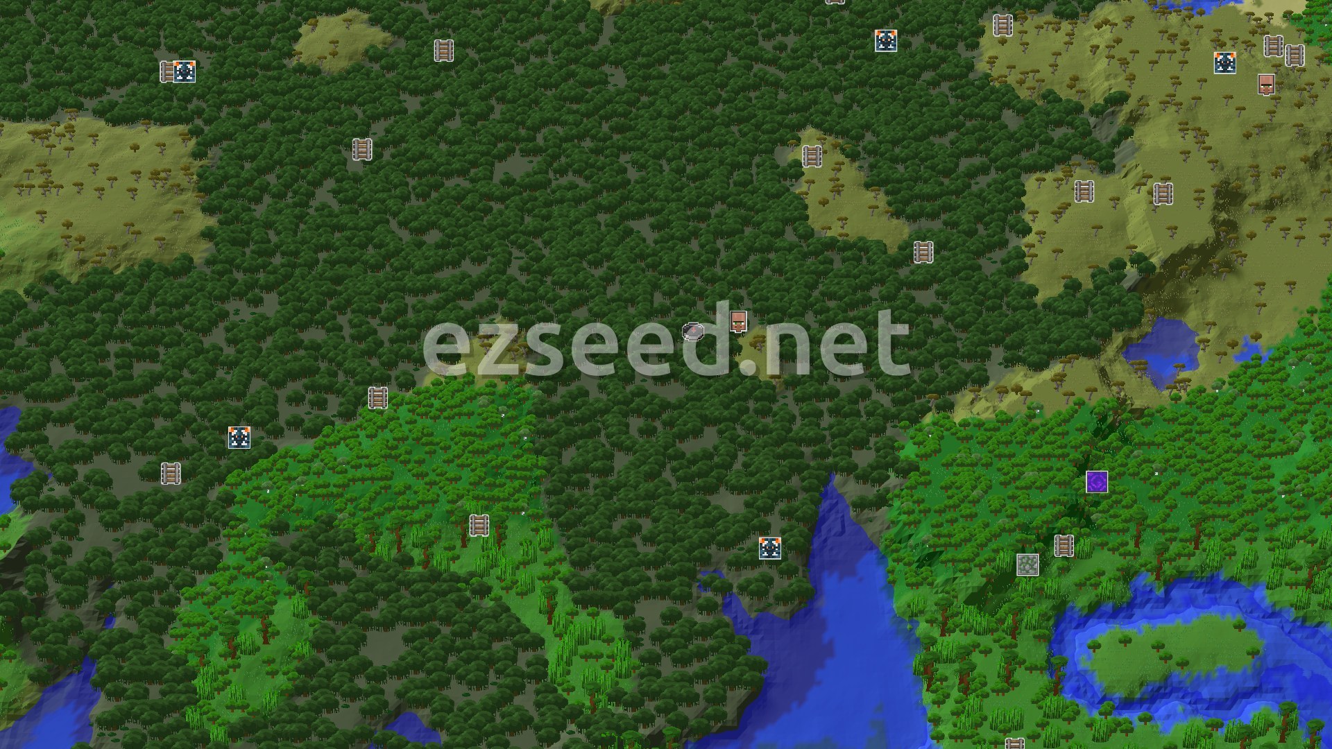 Aerial Minecraft seed map — Mangrove Swamp Spawn with a Nearby Savanna Village
