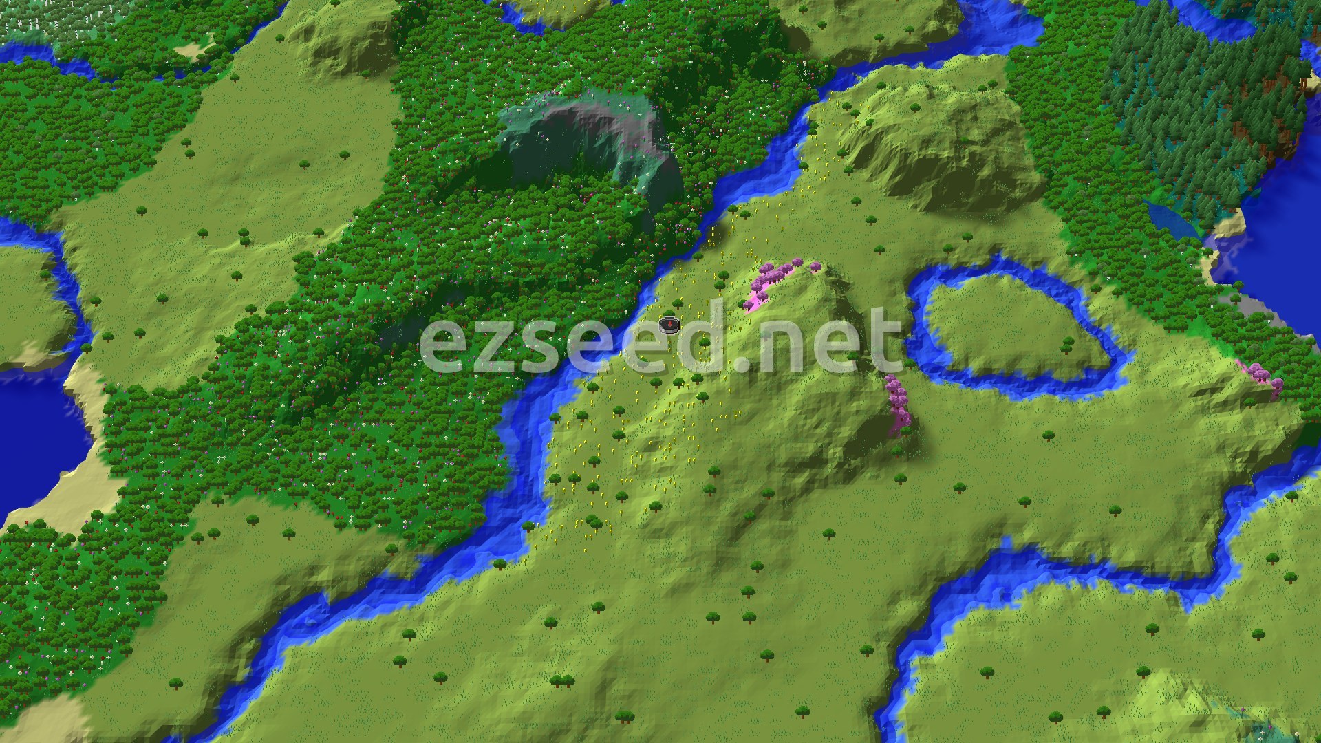 Aerial Minecraft seed map — Flower Forest and Village Near Plains Spawn
