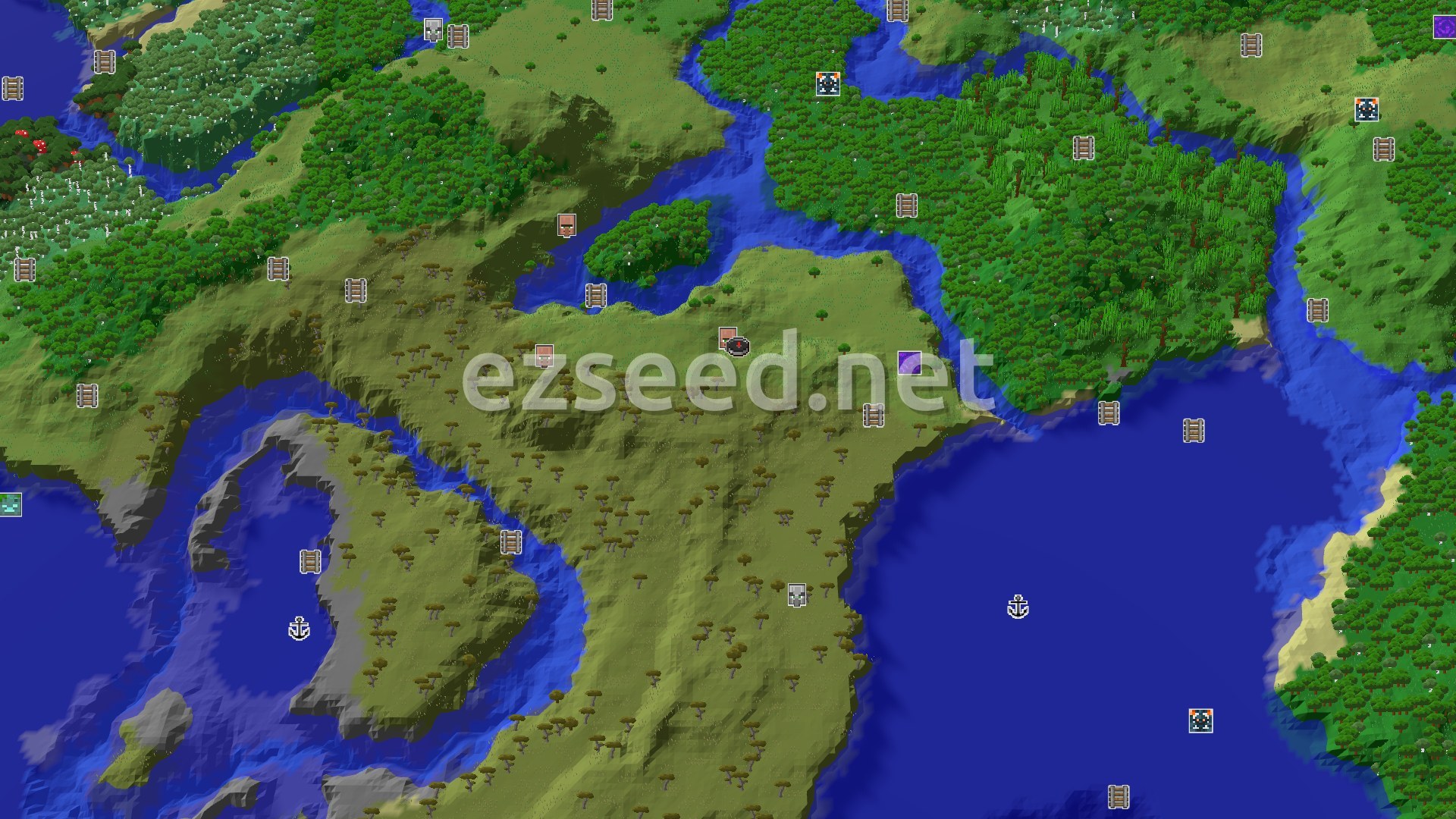 Aerial Minecraft seed map — A Village Spawn with Nearby Jungle and Sparse Trees