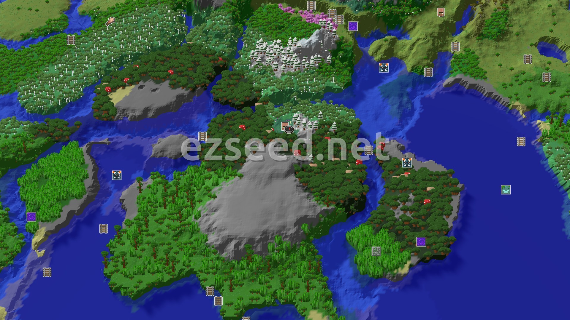 Aerial Minecraft seed map — Dark Forest Spawn with a Nearby Village
