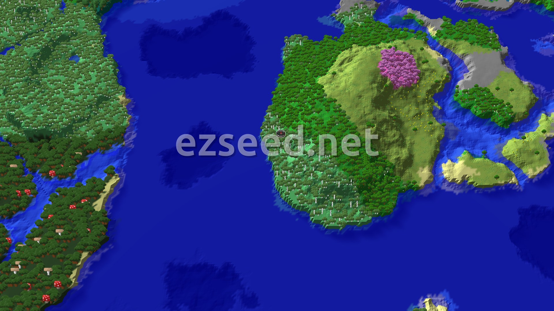 Aerial Minecraft seed map — Forest, Ocean, and a Cherry Grove to the East