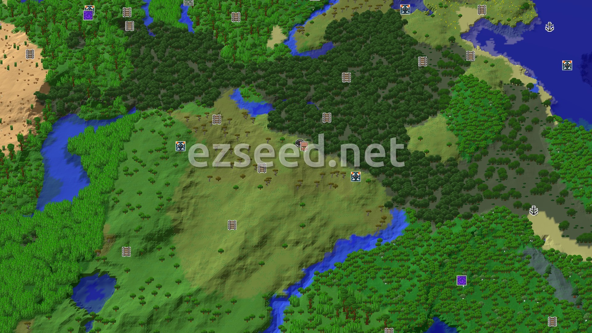 Aerial Minecraft seed map — Spawn Near a Village and a Mangrove Swamp