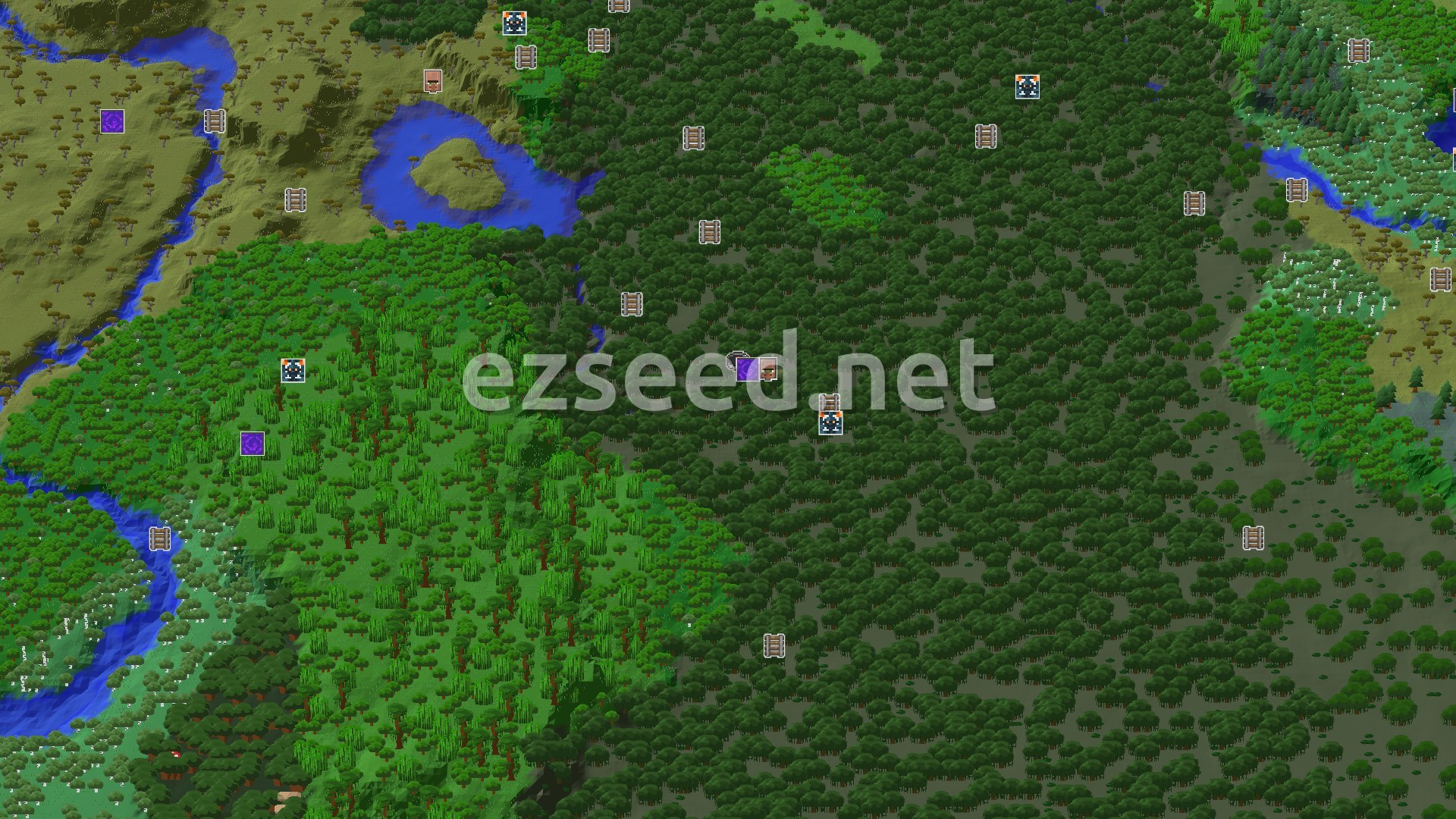 Aerial Minecraft seed map — A Mangrove Spawn with Immediate Structures
