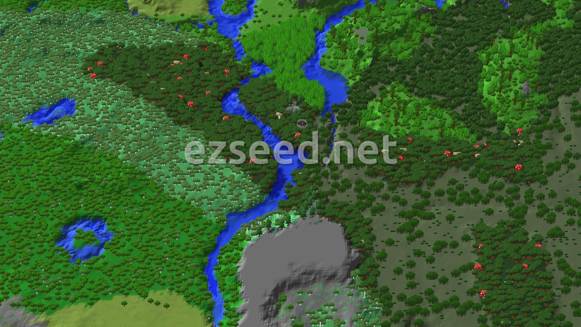An overhead view of a dense Dark Forest with a winding river, some red mushrooms, and a grey stony hill.