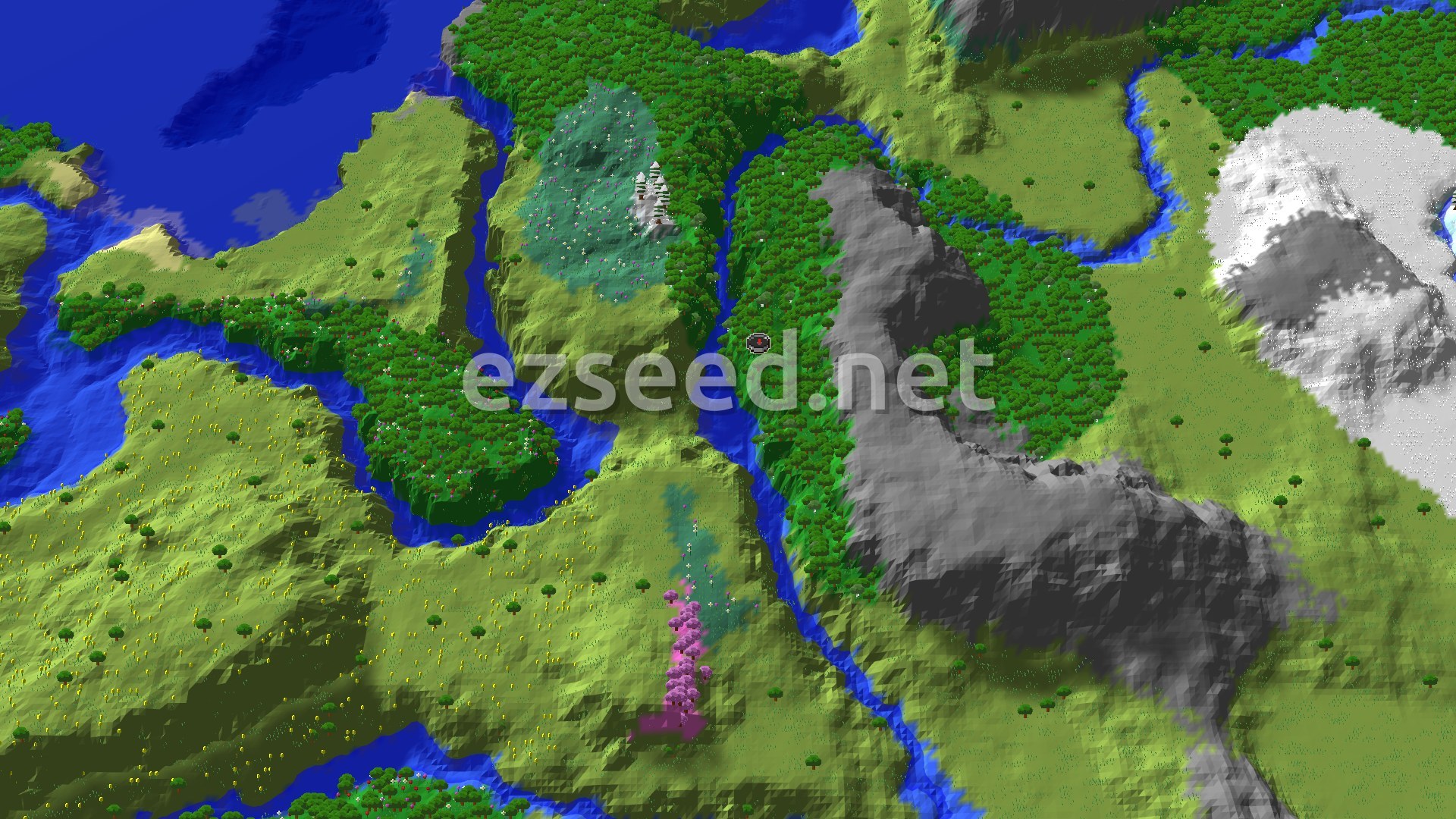 Aerial Minecraft seed map — Spawn Near Flower Forest and a Village