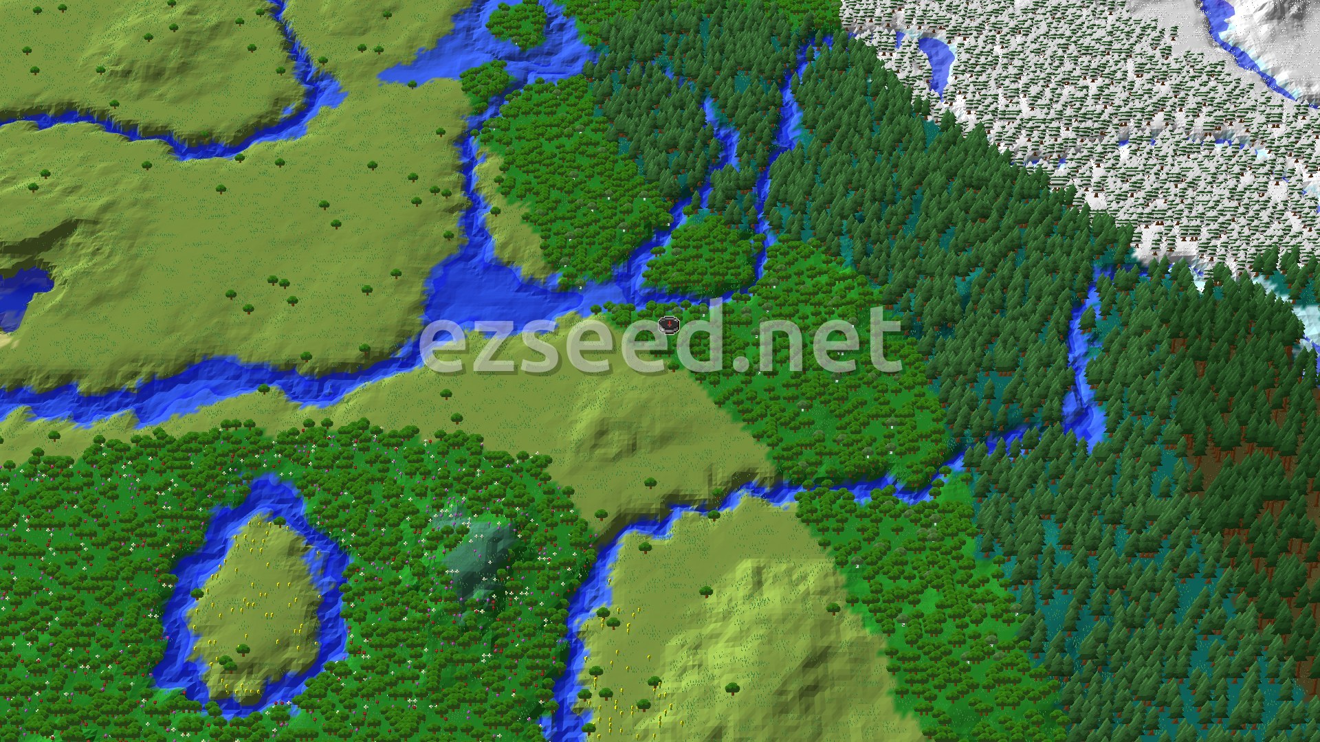 Aerial Minecraft seed map — Village and Flower Forest Near Spawn