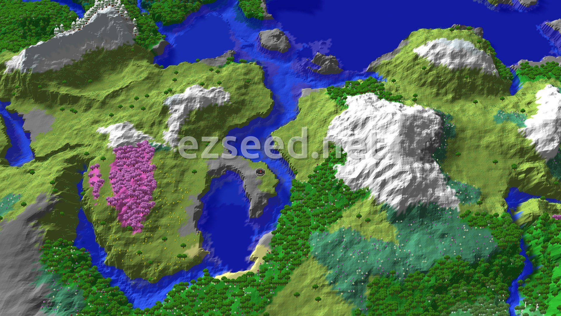 Aerial Minecraft seed map — Spawn in Plains with Nearby Flower Forest