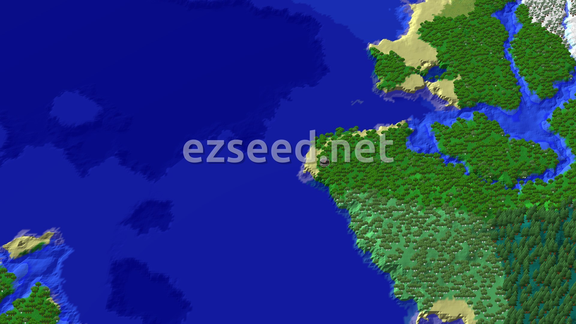 Aerial Minecraft seed map — Forest Spawn with Shipwreck and Ocean Ruin Nearby