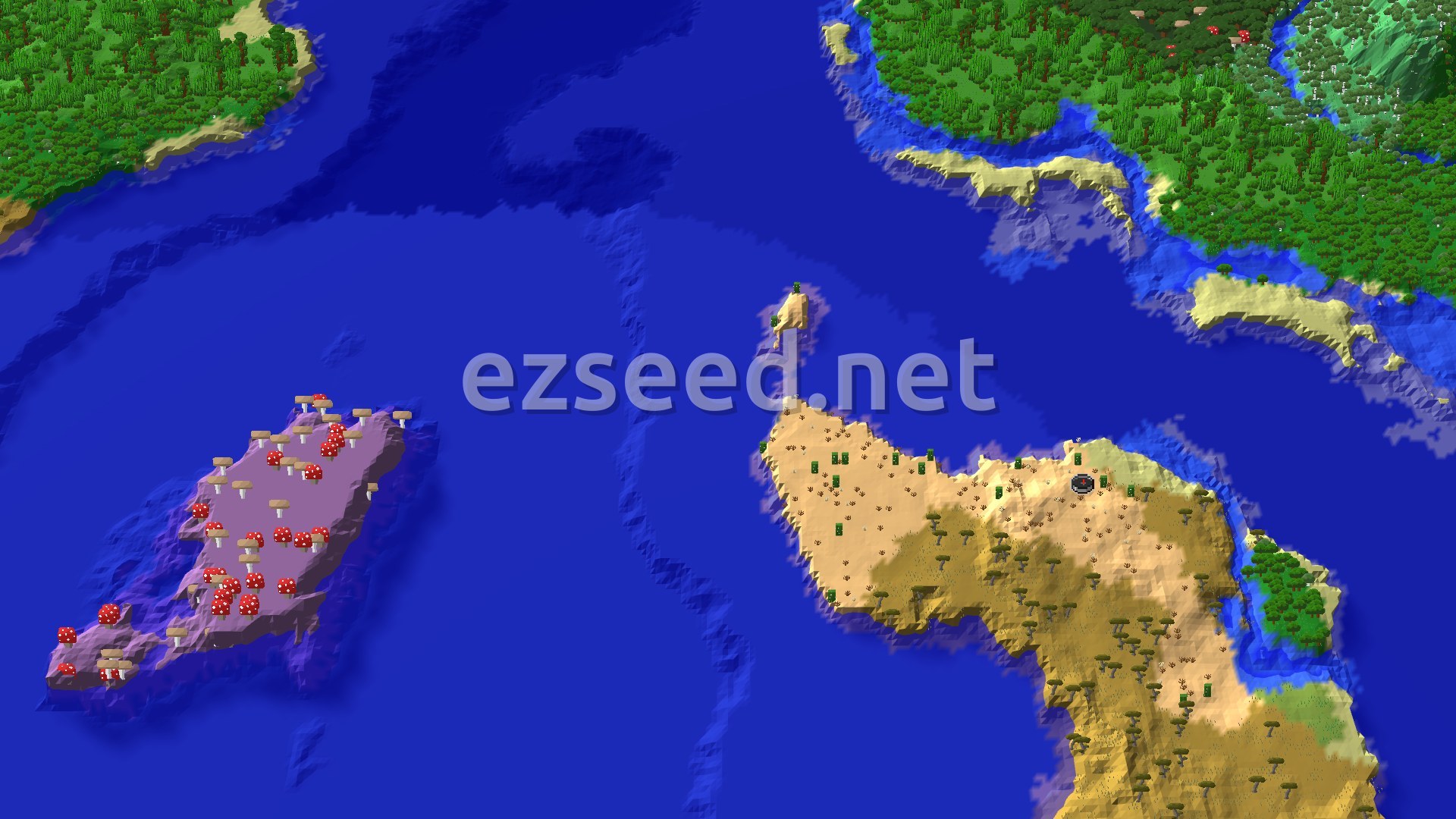 Aerial Minecraft seed map — Mushroom Fields and Ocean Adventures