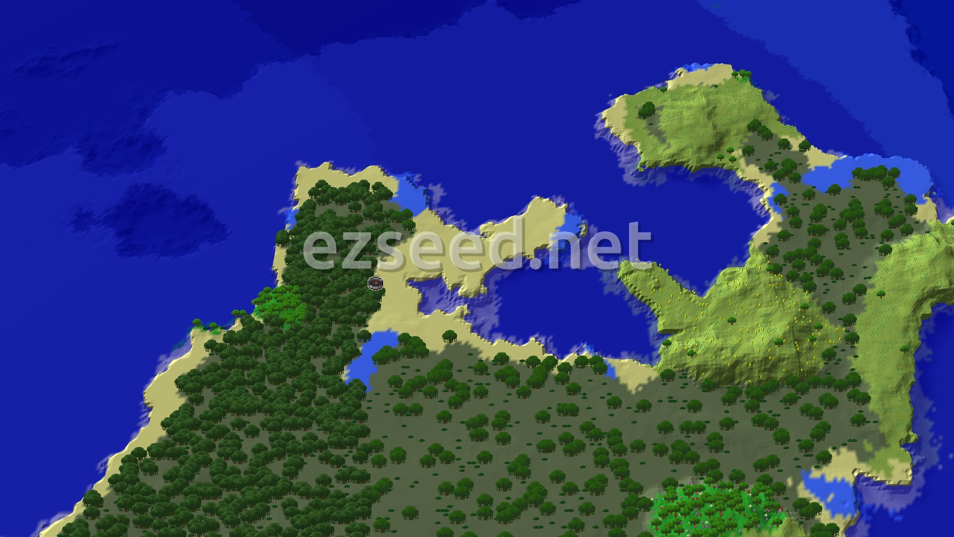 Aerial Minecraft seed map — Swamp Spawn With Coastal Access to Mangrove and Jungle