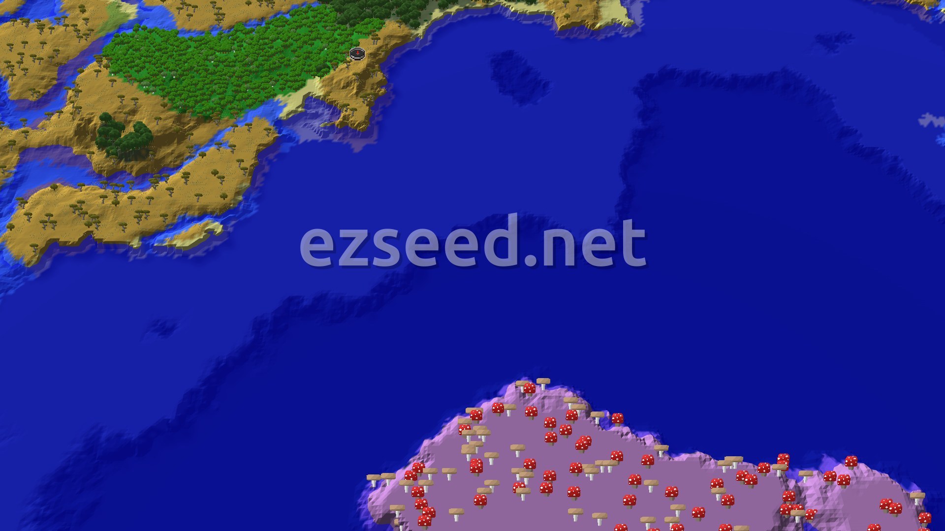Aerial Minecraft seed map — Mangrove Swamp 128 Blocks From Savanna Spawn