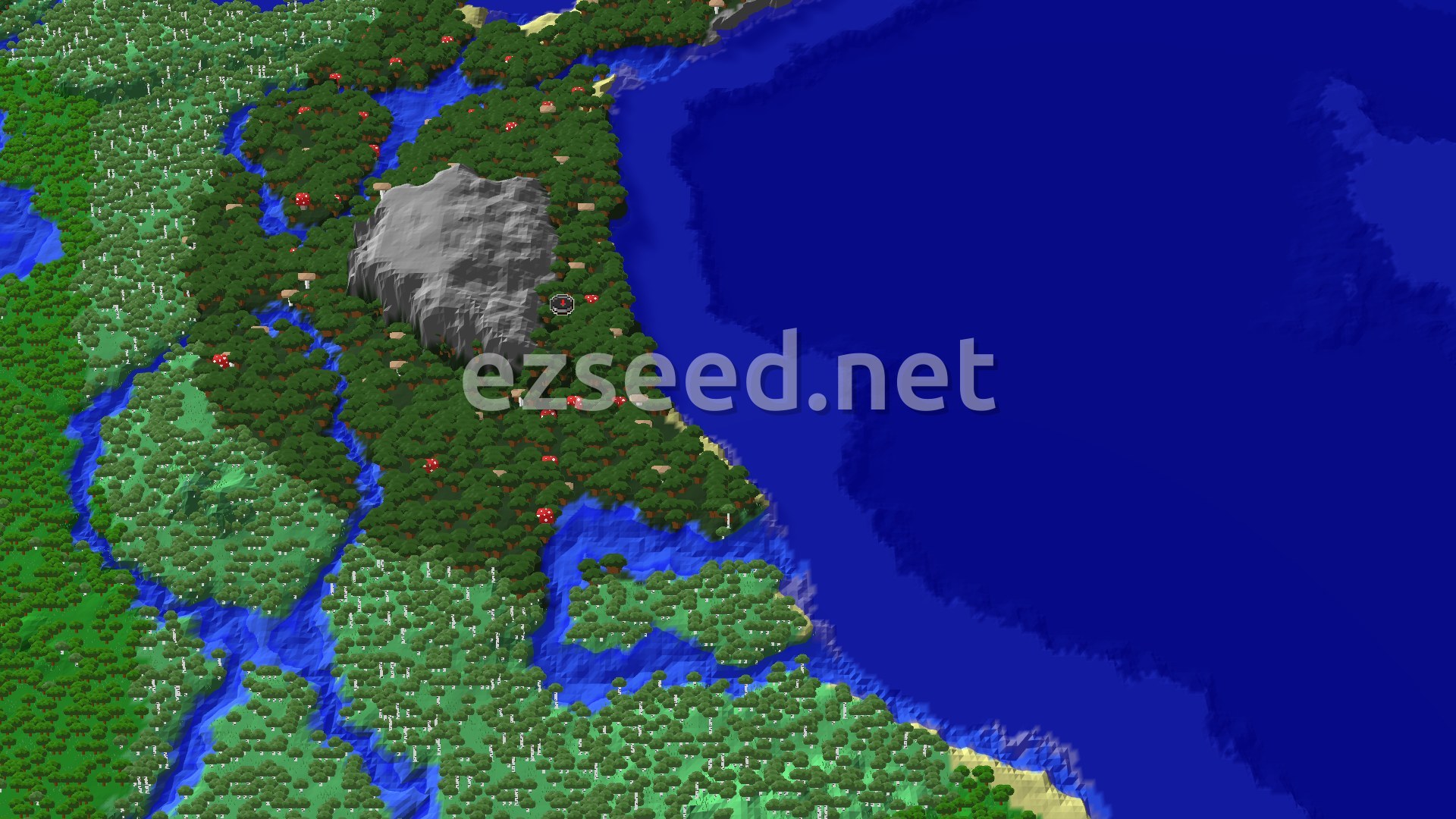 A 3D fly-over of the terrain and vegetation around spawn, showing a dense Dark Forest with tall trees, alongside a more open Birch Forest, and some ocean in the distance. A small spawn marker is at the center.