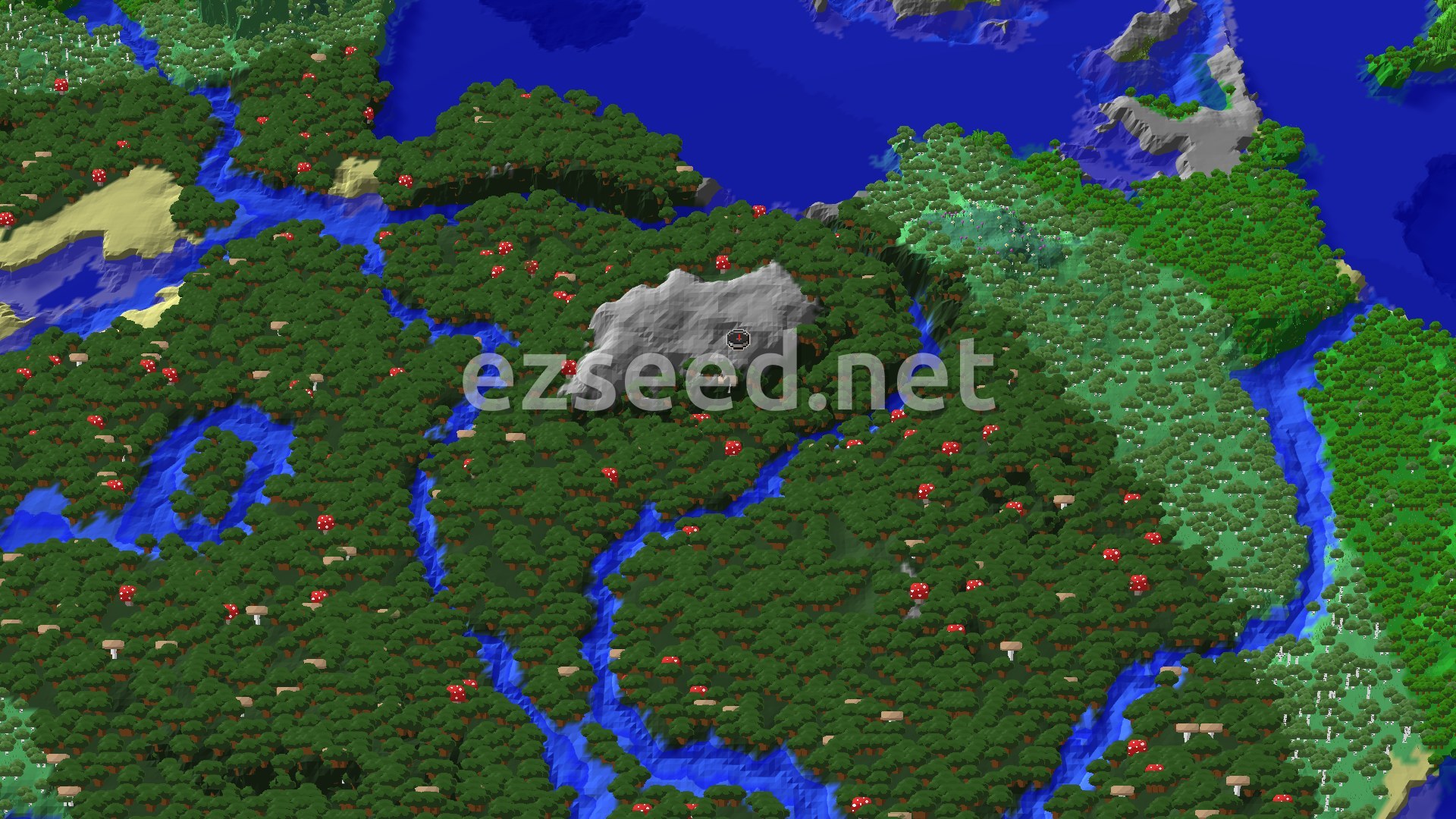 An aerial view of a dense Dark Forest biome with winding rivers, showing the spawn point marked in the center.