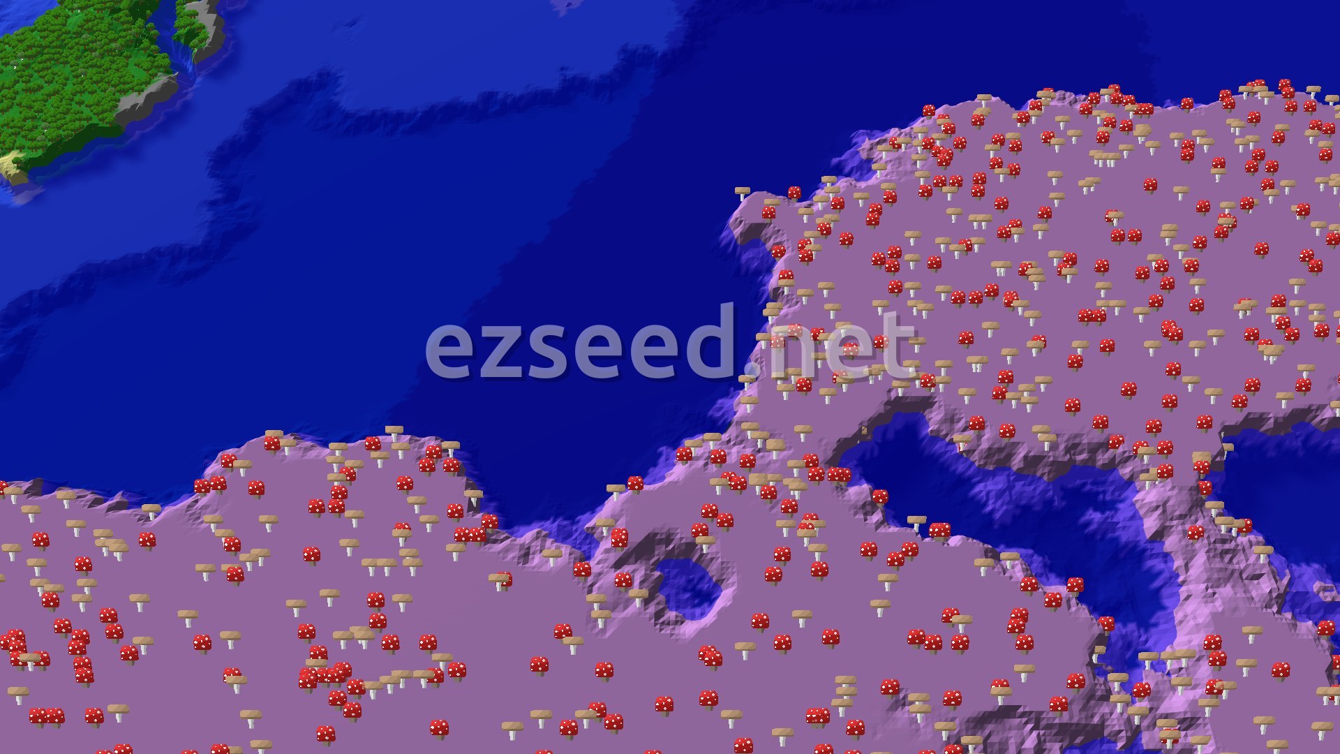Aerial Minecraft seed map — Mushroom Fields Near Spawn, with Taiga and Ocean