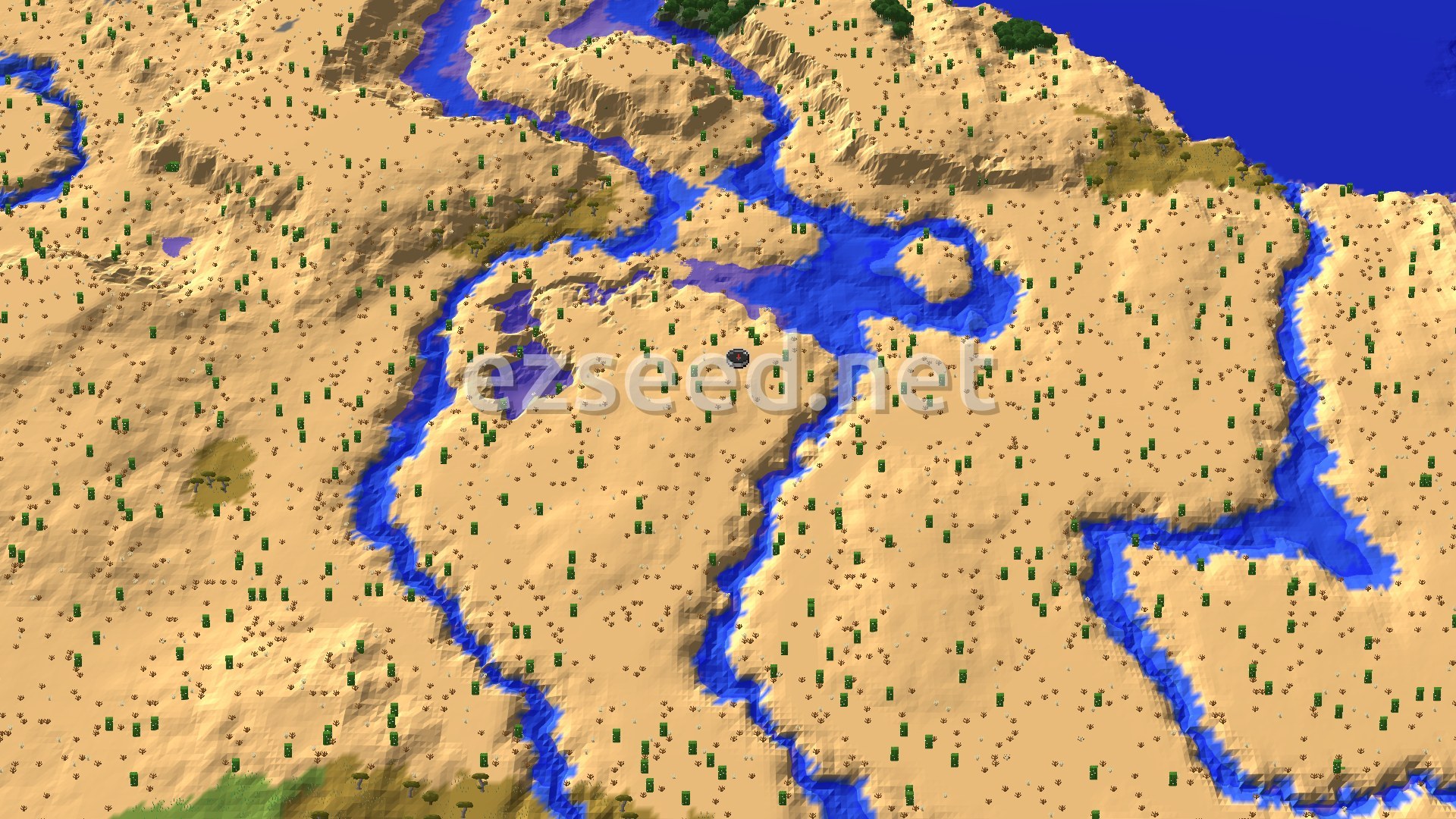 An aerial view of a wide desert landscape, crisscrossed by several winding rivers. Scattered cacti dot the sandy terrain, with some darker green trees visible near the water in the distance. A small black spawn marker is visible near the center.
